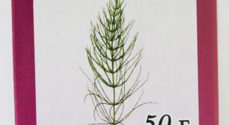 Картинка по теме - как заваривать хвощ