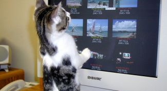 Картинка по теме - как перевести программу на русский язык