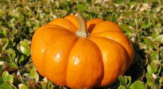 Картинка по теме - как чистить тыкву