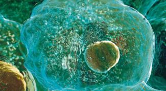 Картинка по теме - как подготовиться к инсеминации