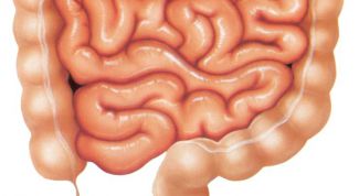 Картинка по теме - как проверить тонкий кишечник