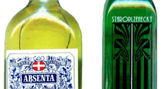 Картинка по теме - как выбрать абсент