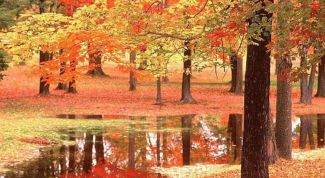 Картинка по теме - как сделать картинку уникальной