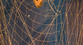 Картинка по теме - как научиться вязать сети