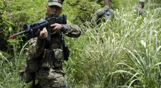 Картинка по теме - как поступить в мвд в санкт-петербурге