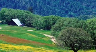 Картинка по теме - как оформить землю в собственость