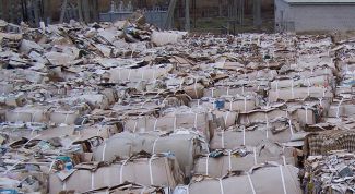 Картинка по теме - как переработать макулатуру