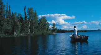 Картинка по теме - как сделать фидерную кормушку