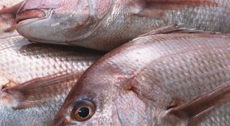 Картинка по теме - как коптить окуня