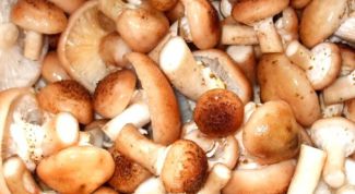 Картинка по теме - как мариновать опята