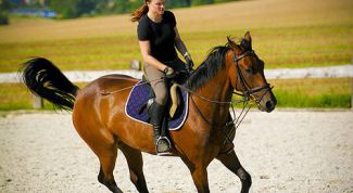 Картинка по теме - как научиться верховой езде