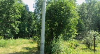 Картинка по теме - как купить землю