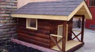 Картинка по теме - как построить собачью конуру