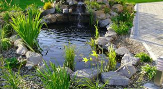 Картинка по теме - как сделать декоративный пруд