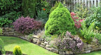 Картинка по теме - как распланировать садовый участок