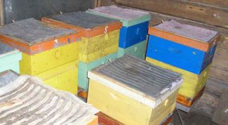 Картинка по теме - как построить зимовник для пчел