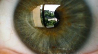 Картинка по теме - что такое идентификация