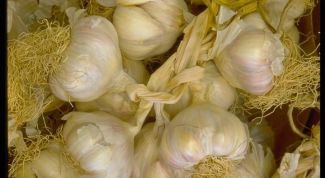 Картинка по теме - как приготовить настойку из чеснока