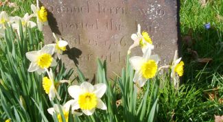 Картинка по теме - как узнать дату смерти человека