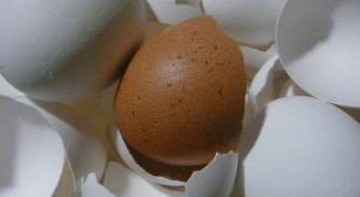 Картинка по теме - как восполнить в организме недостаток кальция