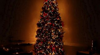 Картинка по теме - как выбрать живую елку