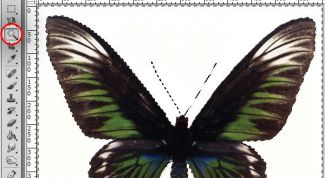 Картинка по теме - как перевести из растра в вектор