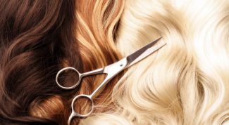 Картинка по теме - как делать филировку