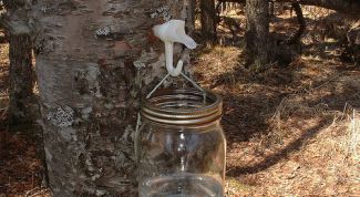 Картинка по теме - как пить березовый сок