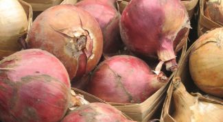 Картинка по теме - как сохранить лук зимой