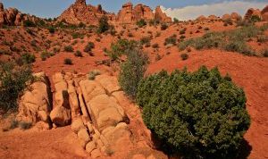 Картинка по теме - что такое рельеф 