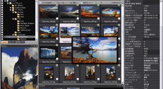 Картинка по теме - как изменить размер на acdsee