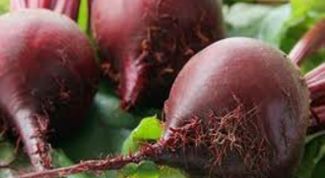 Картинка по теме - как приготовить свекольные котлеты