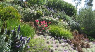 Картинка по теме - как укрепить склон оврага