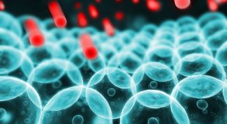 Картинка по теме - что такое цитоплазма