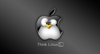 Картинка по теме - как узнать версию пакета