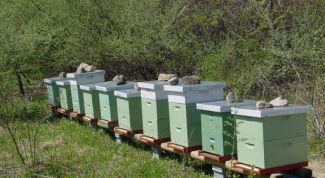 Картинка по теме - как купить улья