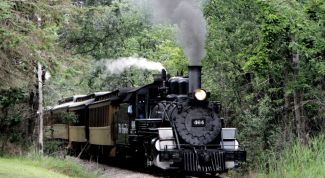 Картинка по теме - что такое пар