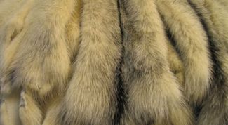 Картинка по теме - как покрасить искусственный мех