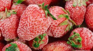 Картинка по теме - как морозить ягоды