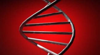 Картинка по теме - что такое наследственность