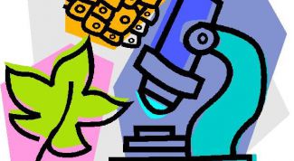 Картинка по теме - как сдать экзамен по биологии