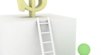 Картинка по теме - как начать политическую карьеру