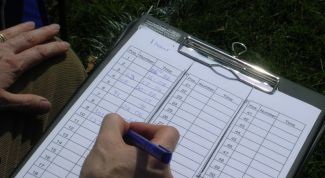 Картинка по теме - как нумеровать трудовые договоры