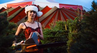 Картинка по теме - как установить живую елку