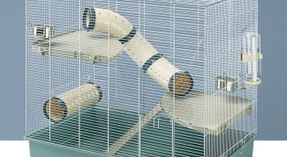 Картинка по теме - как обустроить клетку для крыс
