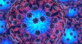 Картинка по теме - что такое вич