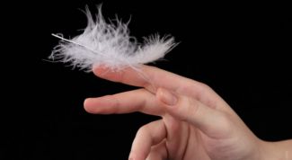 Картинка по теме - что такое деликатность