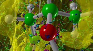 Картинка по теме - что такое автотрофы