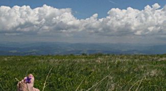 Картинка по теме - что такое линия горизонта