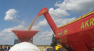 Картинка по теме - как перевести тонну в центнер